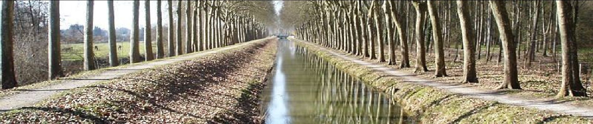 Trail Walking Blancafort - Le Canal de la Sauldre - Blancafort - Photo