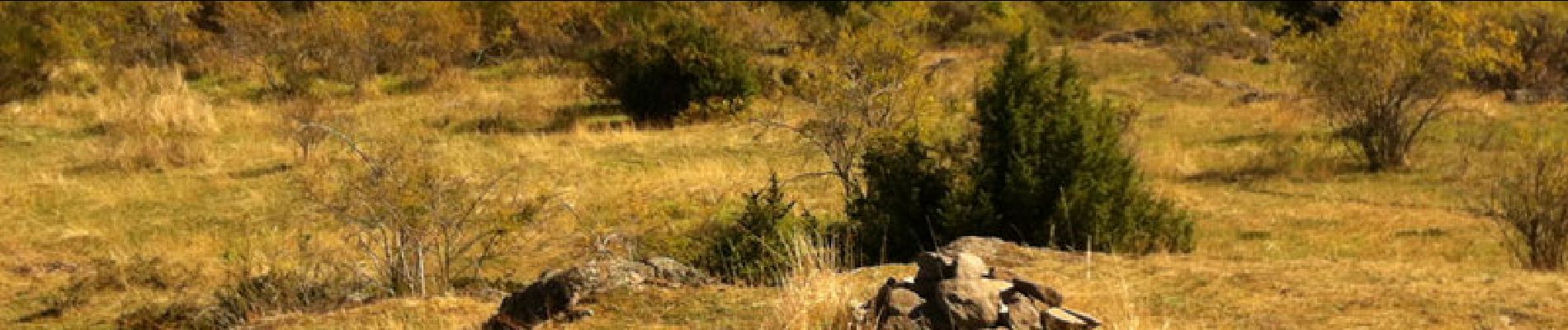 Randonnée Marche Ludesse - Entre Monne et Liauzun - Chaynat - Photo