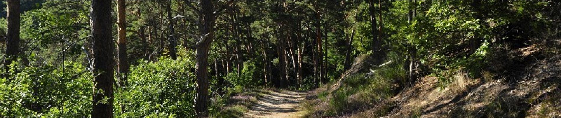 Trail Walking Châtel-Guyon - Autour de la vallée des Prades - Chatel-Guyon - Photo