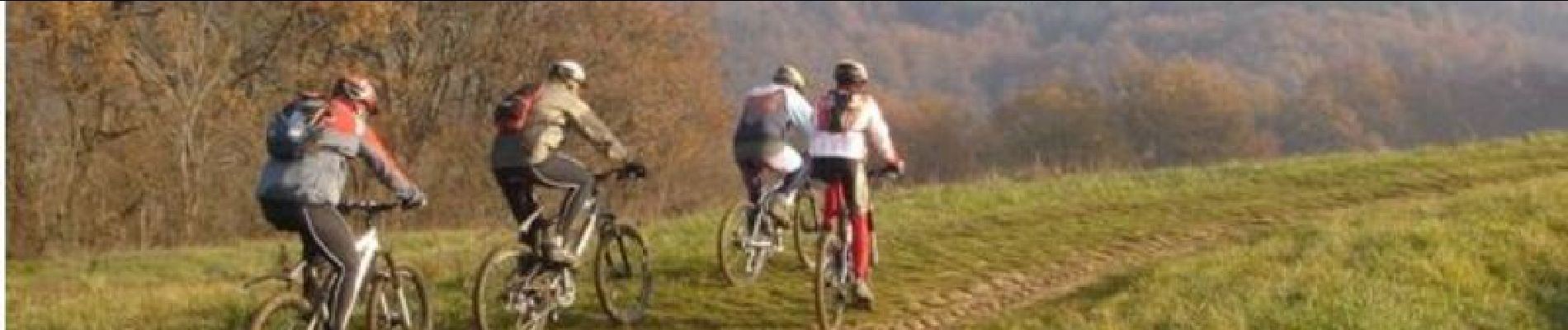 Trail Mountain bike Mézens - Sur les hauteur du Tarn - Mézens - Photo