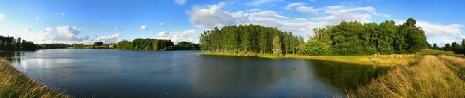 Tocht Stappen Ségalas - Les Graoussettes, un lac d'irrigation et de loisirs - Ségalas - Photo