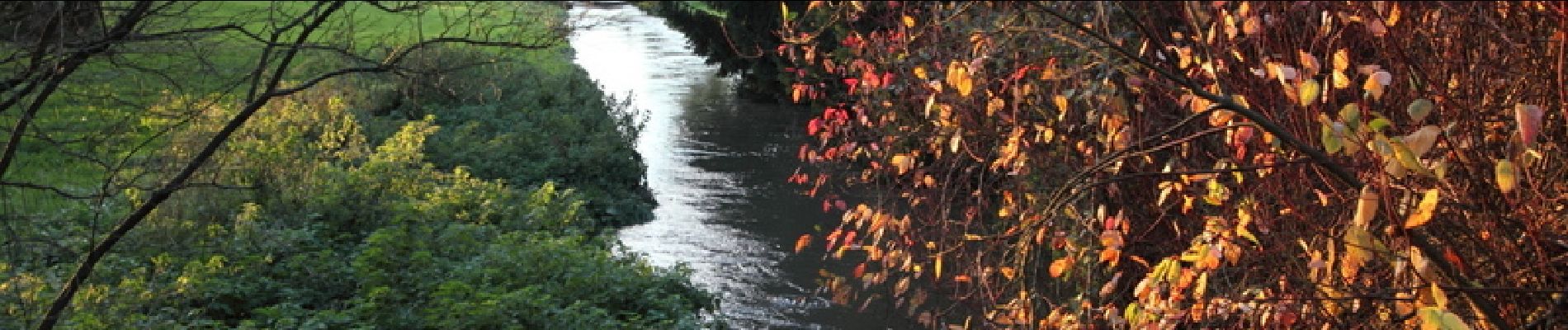 Trail Walking Igny - De Igny au Parc de Sceaux - Photo