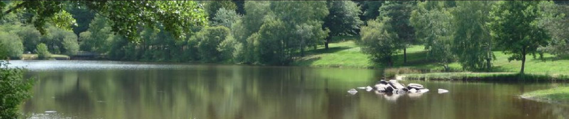 Percorso Cavallo Iffendic - Au coeur des légendes dans la forêt de Paimpont - Photo