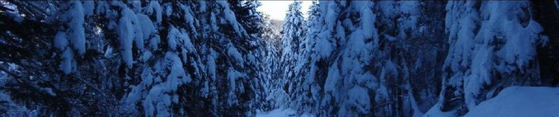 Randonnée Raquettes à neige Campan - Pla des Bouhouèrès - Payolle - Photo