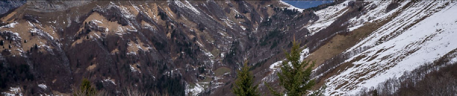 Tour Schneeschuhwandern Jarsy - La Pointe de la Limace 1836m, depuis le Coudray - Photo