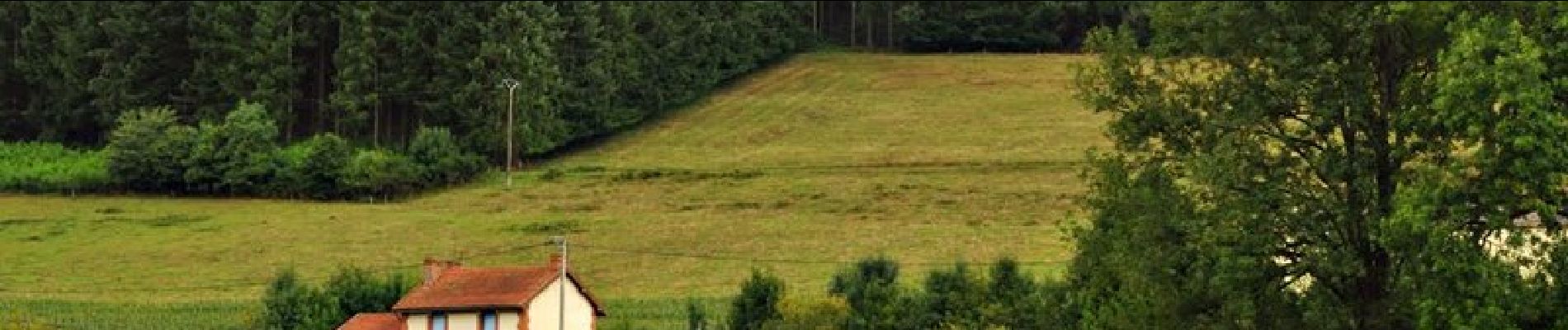 Tour Laufen La Petite-Verrière - Autour de La Petite Verrière - Photo