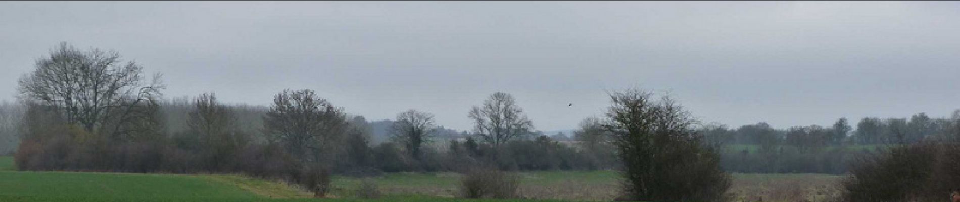 Tocht Stappen Entrains-sur-Nohain - Circuit de la nature - Entrains sur Nohain - Photo