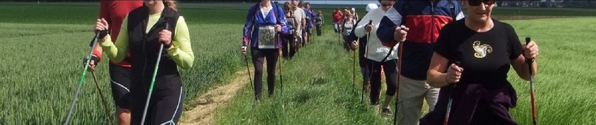 Randonnée Autre activité Vittefleur - Le camp cigarette - Paluel - Photo