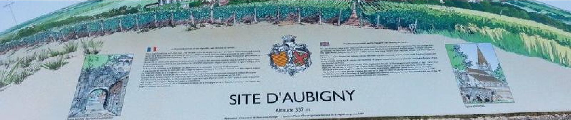 Tour Wandern Le Montsaugeonnais - Dans les Bois de Montanson - Vaux sous Aubigny - Photo