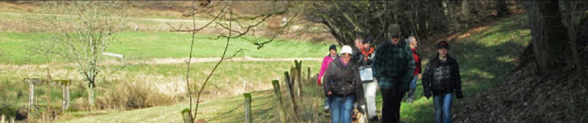 Trail Walking Bousseviller - De Bousseviller à Eberbach - Photo