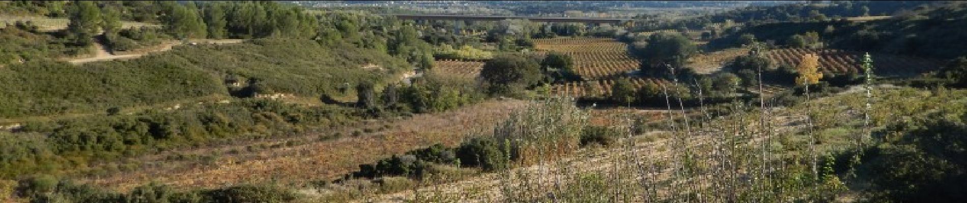 Tour Mountainbike Théziers - Domazan et le Castelas - Théziers - Photo