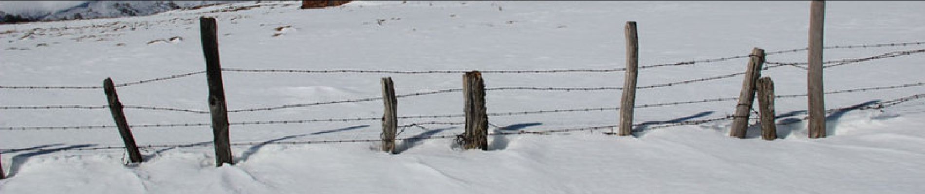 Tour Schneeschuhwandern Paulhac - Le Puy de la Jambe et le bourg de Prat de Bouc - Photo