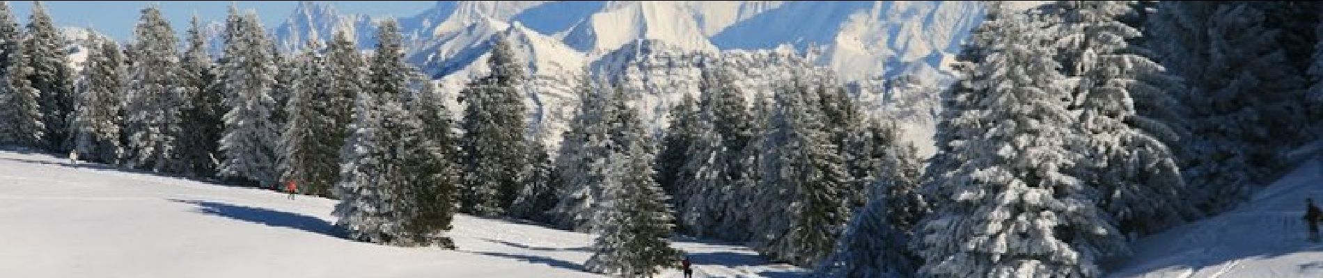 Tocht Sneeuwschoenen Viuz-la-Chiésaz - Raquettes au Semnoz - Leschaux - Photo