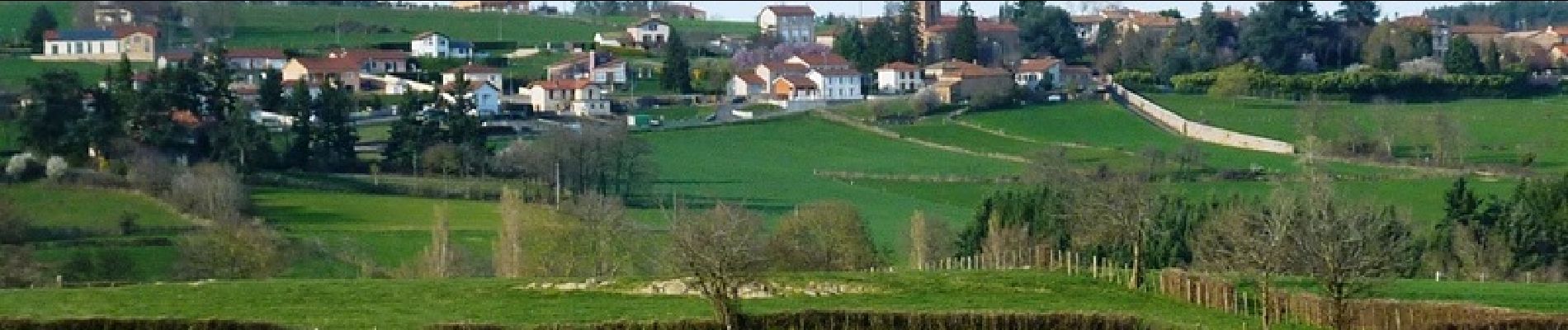 Percorso Mountainbike Vézelin-sur-Loire - Crêts et Gorges de la Loire - Dancé - Photo