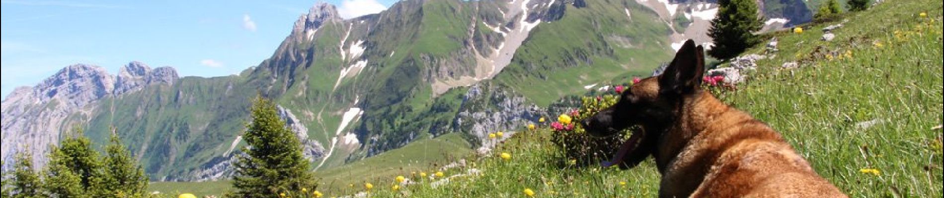 Point d'intérêt Glières-Val-de-Borne - Vue  - Photo