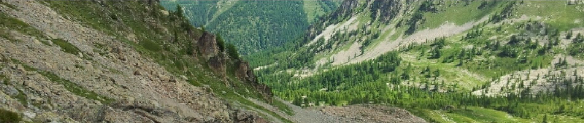 Tour Wandern Valdeblore - Le mont Pépoiri - Photo