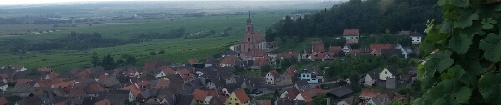 Trail Walking Kintzheim -  Rando de Kintzheim vers le château Haut Koenigsbourg - Photo