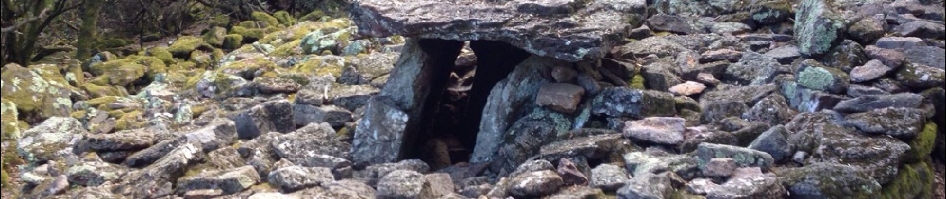 Punto de interés Anduze - Dolmen de Pallière - Photo
