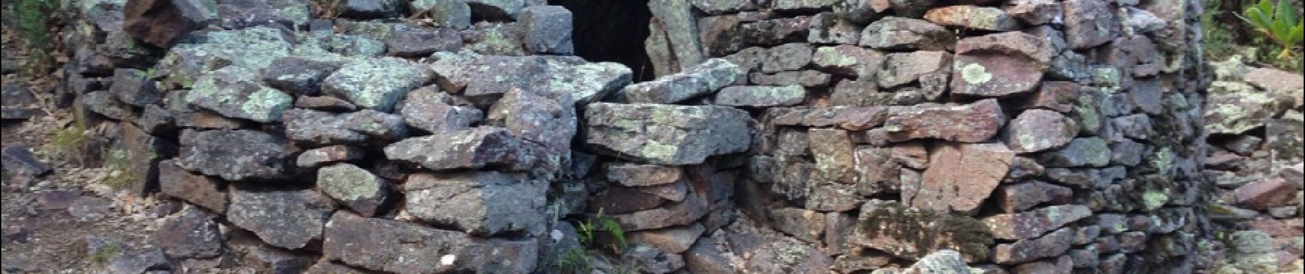 Tour Wandern Thoiras - Les dolmens de la grande Pallière - Photo