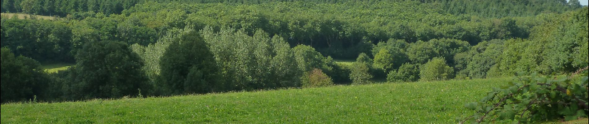 Punto de interés Saint-Paul-en-Gâtine - Des chemins champètres. - Photo