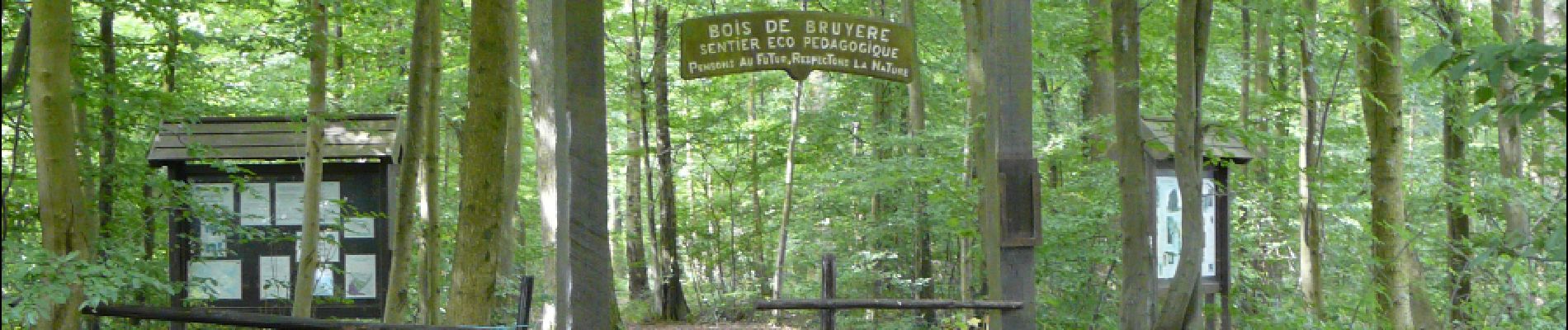 Punto de interés Sivry-Rance - The Bois de Bruyère (Bruyère Wood) - Photo