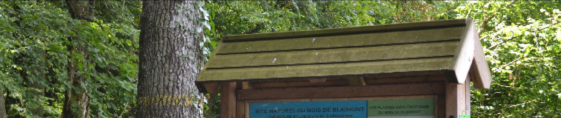 Point d'intérêt Chimay - Bois de Blaimont  - Photo