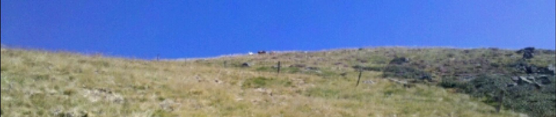 Point d'intérêt Sentenac-d'Oust - 02 - Plus très loin du sommet, un petit groupe de chèvres - Photo