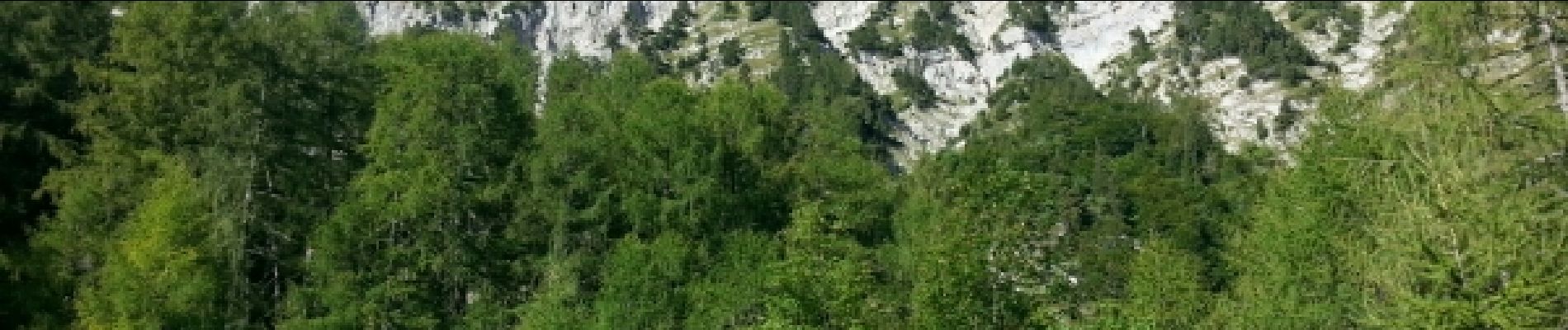 Excursión Senderismo Gresse-en-Vercors - le grand veymont par la cabane du veymont - Photo