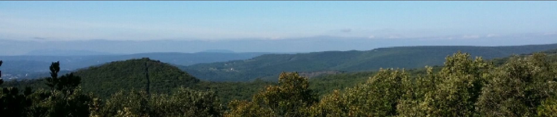 Tour Wandern Saint-Michel-d'Euzet - Chartreuse de Valbonne - Photo