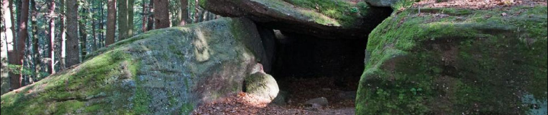 Point d'intérêt Barr - La grotte des druides - Photo