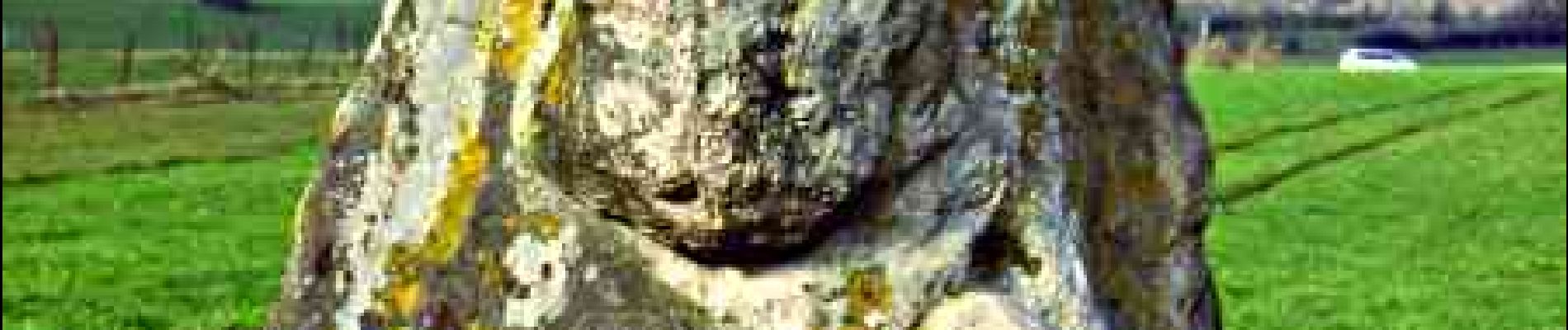 Punto di interesse Chimay - La pierre qui tourne (The Turning Stone) - Photo