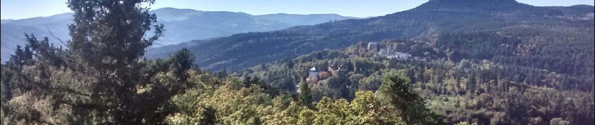 Punto de interés Niedermorschwihr - Point de vue sur les Trois-Epis - Photo