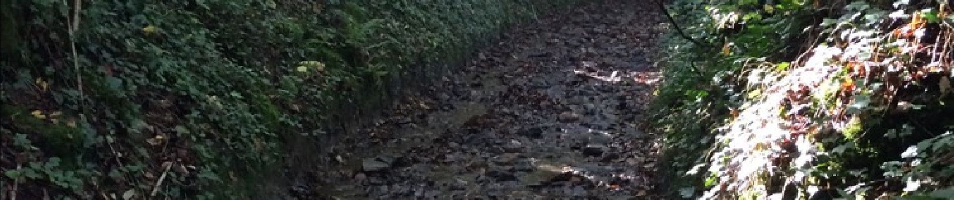 Tocht Andere activiteiten Saint-Léonard-des-Bois - Vallee de la Misere - Photo