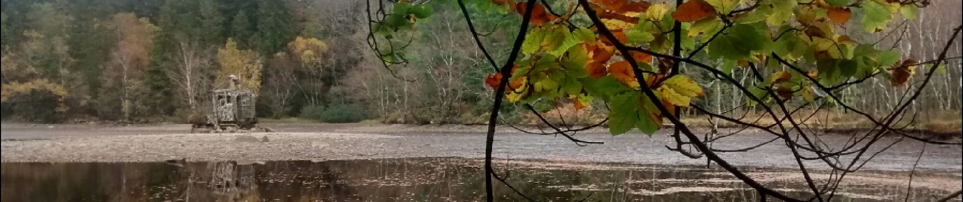 Point d'intérêt Dommartin-lès-Remiremont - Le Grand Etang - Photo