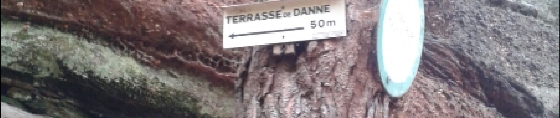 POI Danne-et-Quatre-Vents - terrasse de danne - Photo