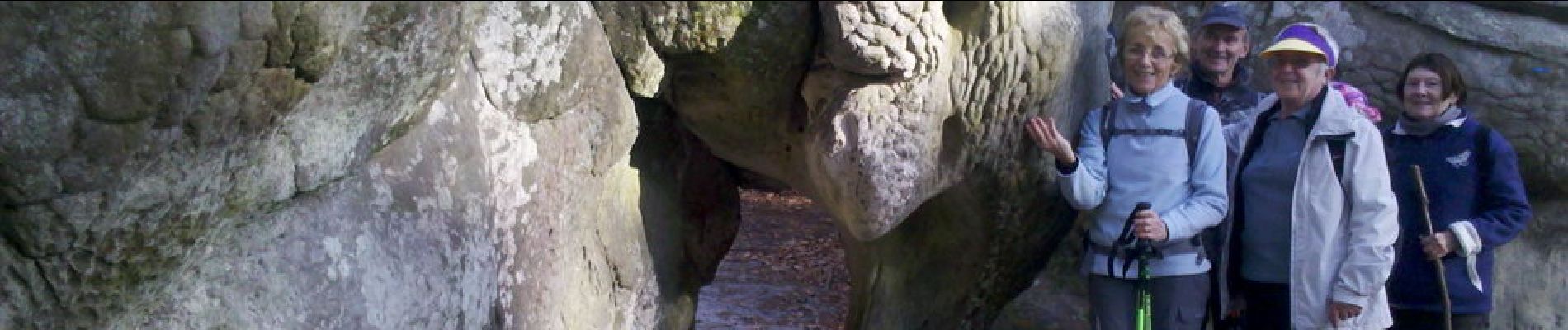 Punto de interés Fontainebleau - 09 - l'Eléphant d'Apremont - Photo