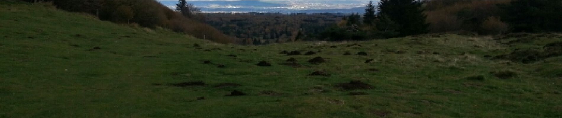 Excursión Senderismo Orcines - Orcine Petit et Grand Suchet_T - Photo