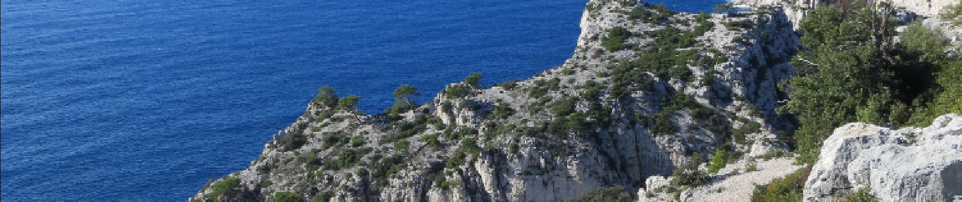 Point d'intérêt Marseille - les iles de Marseille - Photo