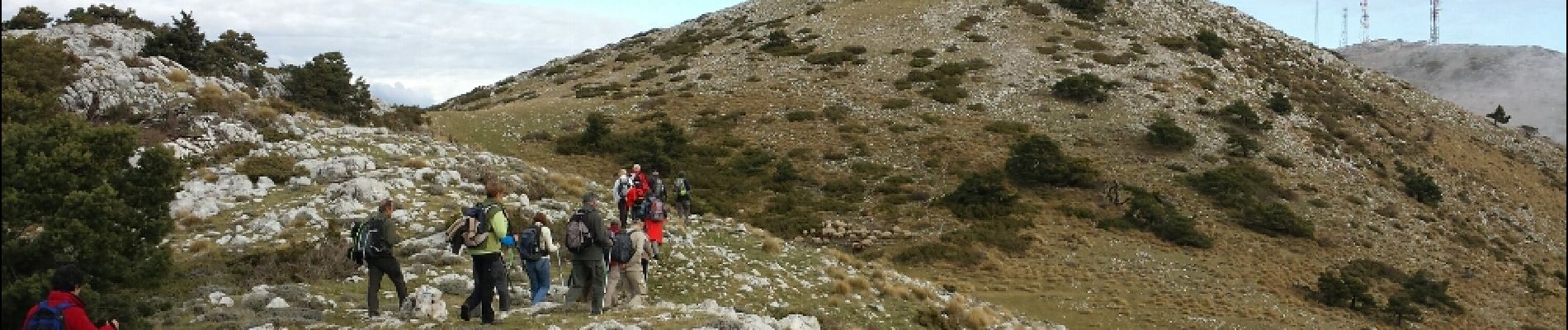 Tocht Stappen La Bastide - La Bastide-Le Lachens 2 - Photo