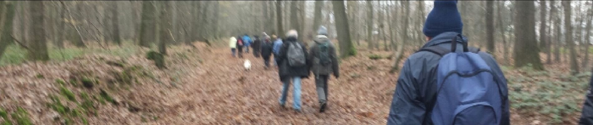Trail Walking Élancourt - rando du 04/12/2014 - Photo