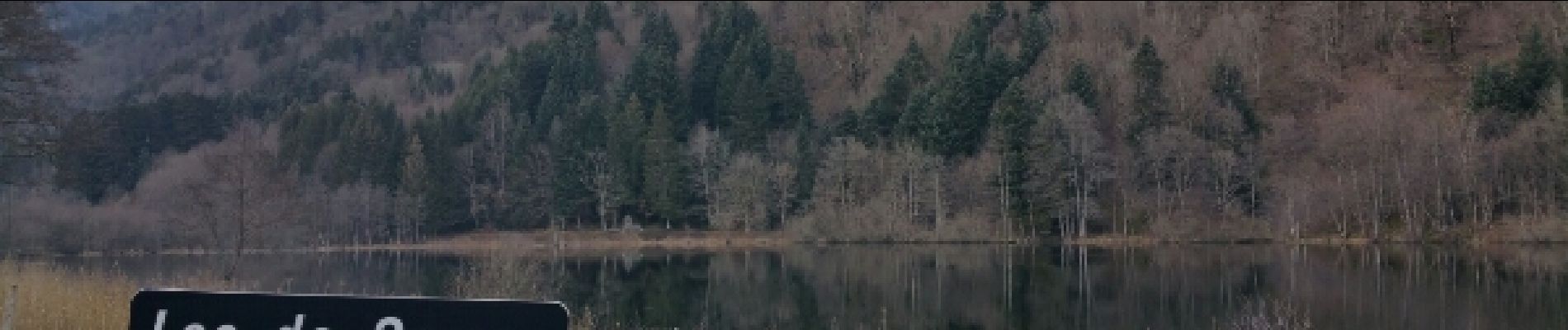 Tocht Stappen Sewen - tour du lac de Sewen - Photo