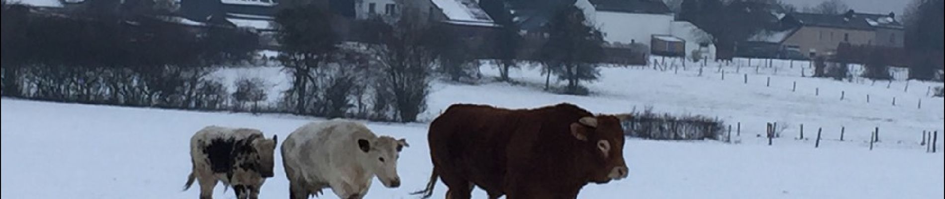 Tocht Andere activiteiten Ferrières - xhoris  - Photo