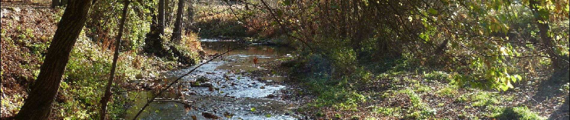 Punto di interesse Couvin - L'Eau Noire - Photo