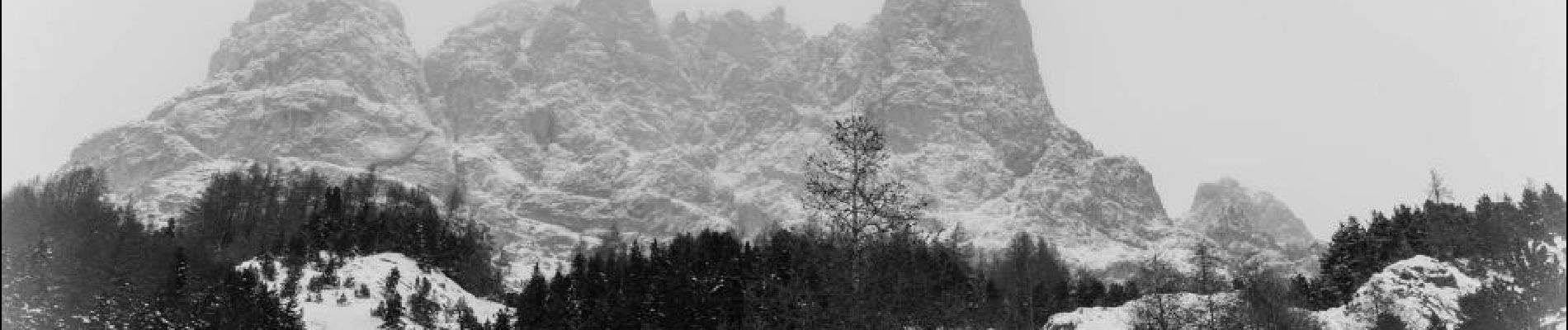 Tocht Sneeuwschoenen Le Monêtier-les-Bains - L'Alpe du Lauzet - Photo