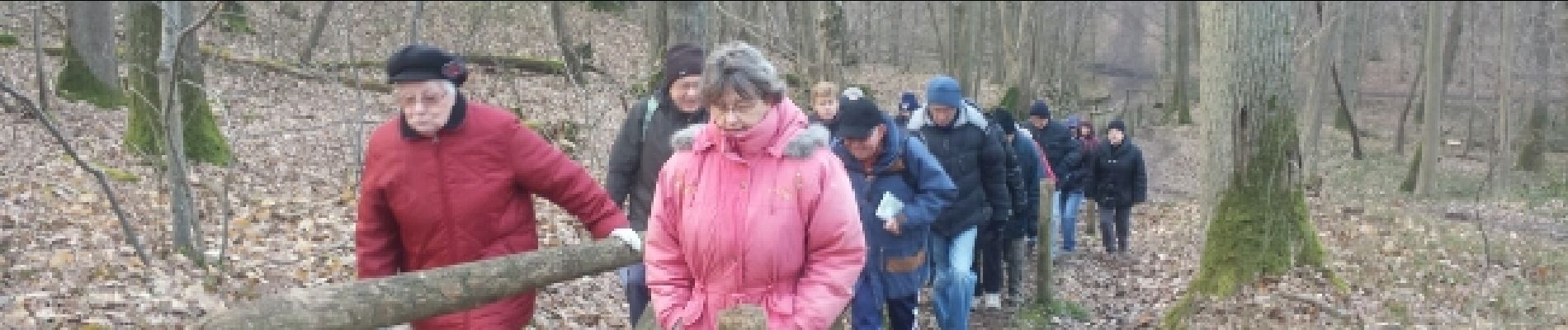 Punto di interesse Plaisir - Escalier forestier - Photo