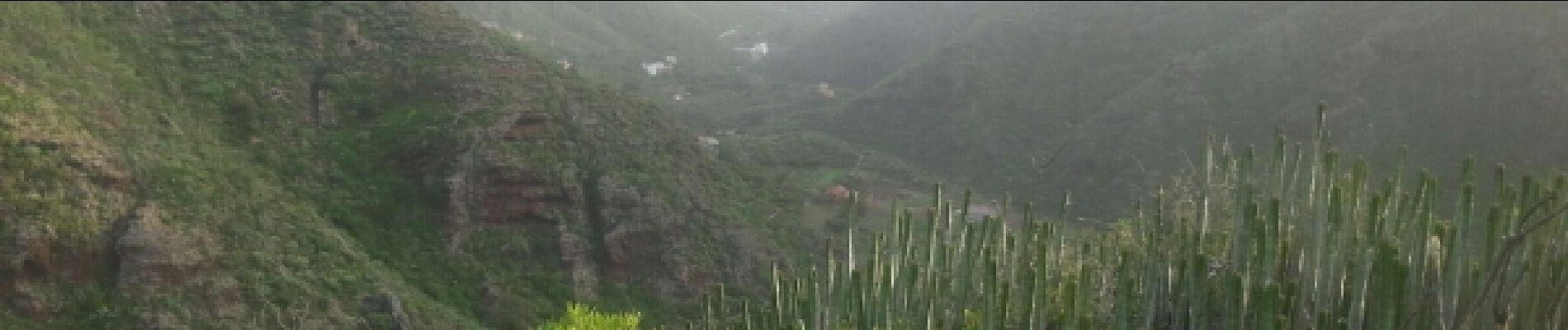 Tour Wandern Santa Cruz de Tenerife - Van Igueste naar Playa de Antequera - Photo