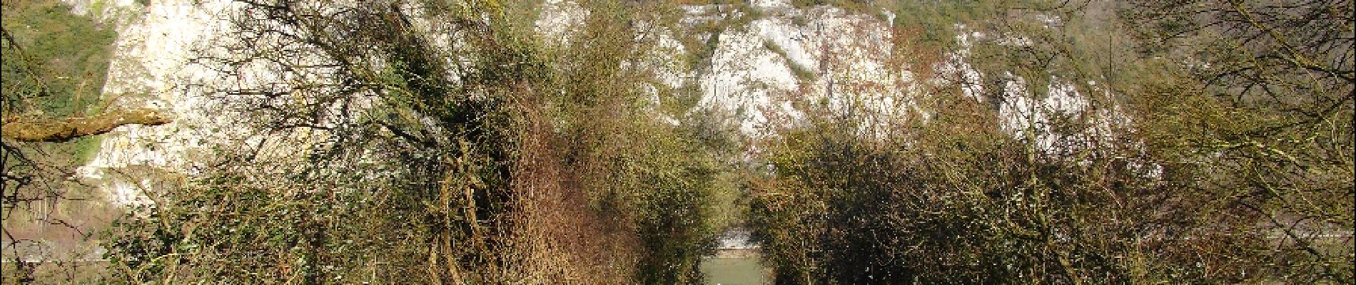 Trail Walking Dinant - Balade sur les rives et les crêtes de Haute-Meuse - Photo