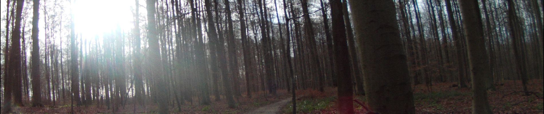 Punto de interés Hoeilaart - forêt de soigne - Photo