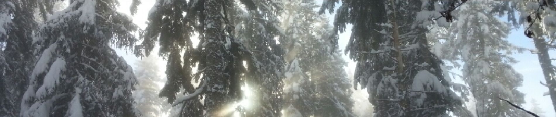 Tocht Sneeuwschoenen Autrans-Méaudre en Vercors - bec de l orient raquette - Photo