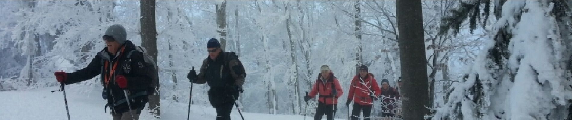 Percorso Racchette da neve Léoncel - échaillon chovet sausse gampalloux - Photo